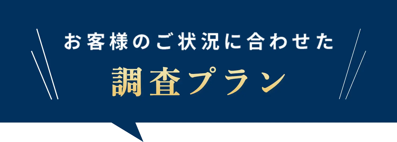 お客様のご状況に合わせた調査プラン